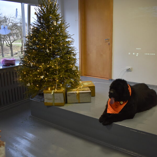 Kinoloģijas pamati atvērtā nodarbība 22.12.2025.