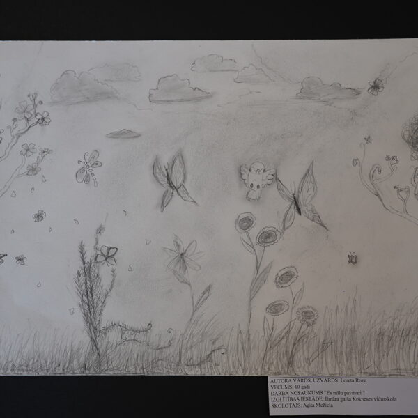 Ilmāra Gaiša Kokneses vidusskola