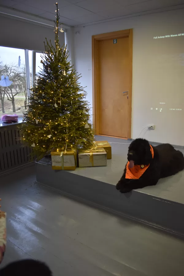 Kinoloģijas pamati atvērtā nodarbība 22.12.2025.